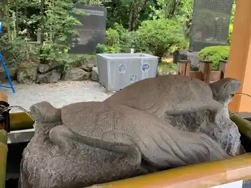 亀ケ池八幡宮の狛犬