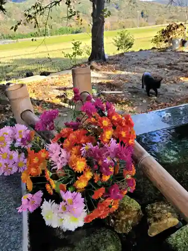 高司神社〜むすびの神の鎮まる社〜の手水舎