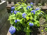 神明社(露橋神明社)(愛知県)