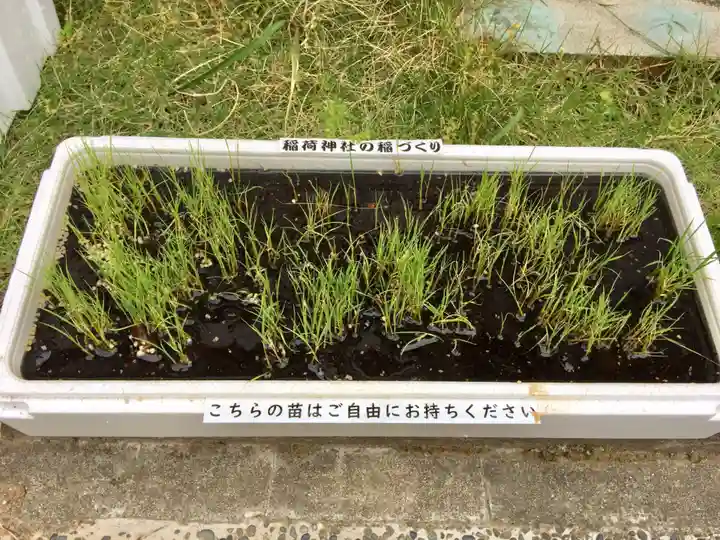 当代島稲荷神社(千葉県)