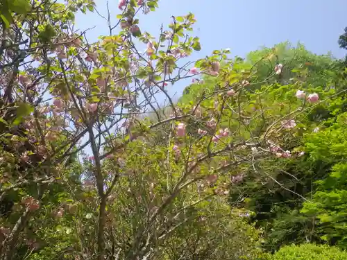 妙本寺の景色