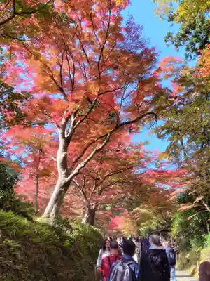 中尊寺金色堂(岩手県)