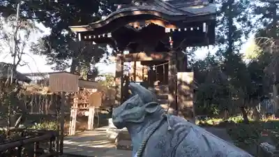 白岡八幡神社(埼玉県)