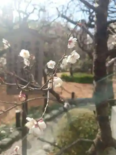 湯島天満宮(東京都)