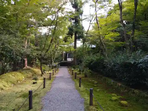 地蔵院(京都府)