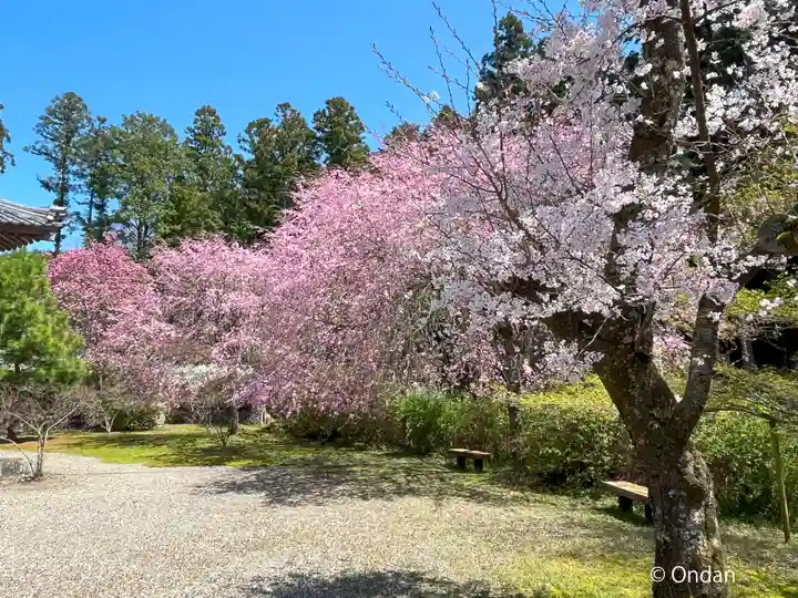高山寺(兵庫県)