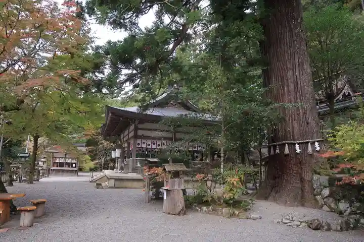 丹生川上神社(中社)(奈良県)