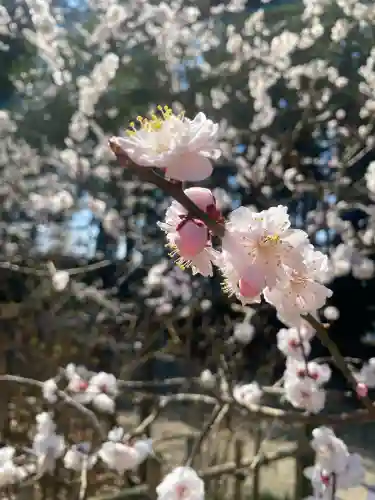 芳賀天満宮(栃木県)