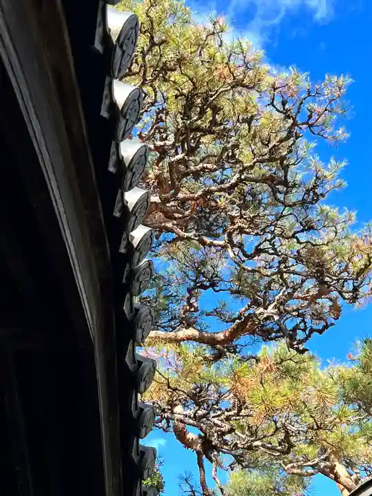 良性院(長野県)