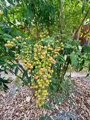 蔵林寺(京都府)