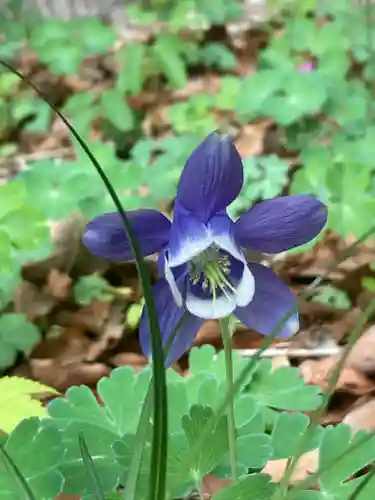 東郷神社(東京都)