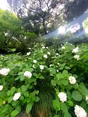 二本松寺(茨城県)