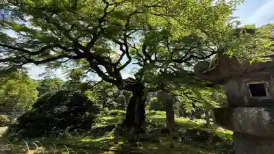 西善寺(埼玉県)