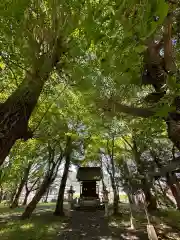 桂川神社(山梨県)