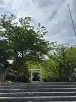 安房神社の{uncategorized: "未分類", other: "その他", undefined: "問題あり", building: "その他建物", grave: "お墓", sacred_gate: "鳥居", guardian: "狛犬", statue: "像", buddha: "仏像", history: "歴史", nature: "自然", garden: "庭園", animal: "動物", pagoda: "塔", temizu: "手水舎", mountain_gate: "山門・神門", sanctuary: "本殿・本堂", subordinate: "末社・摂社", art: "芸術", scenery: "景色", jizo: "地蔵", ema: "絵馬", goshuin: "御朱印", omikuji: "おみくじ", items: "授与品その他", amulet: "お守り", goshuincho: "御朱印帳", eats: "食事", festival: "お祭り", votive_dance: "神楽", shichigosan: "七五三参", wedding: "結婚式", experience: "体験その他", initially: "初詣", around: "周辺", anti_infection: "感染症対策"}