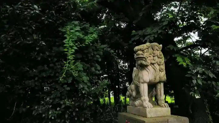 武蔵野神社の狛犬