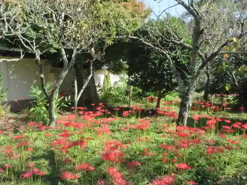 英勝寺の庭園