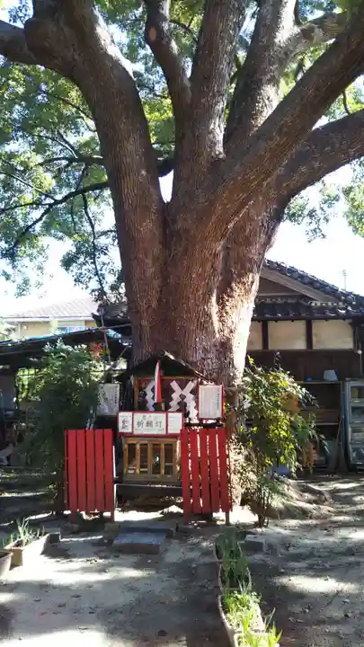 川邊八幡神社のその他建物