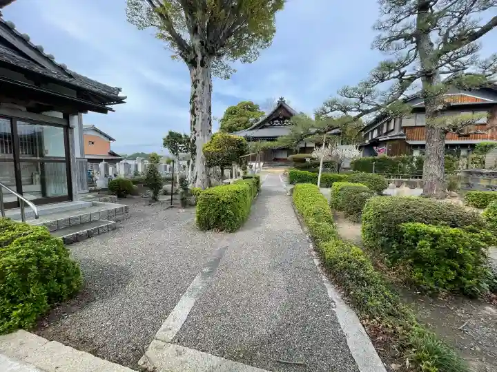 法雲寺の{uncategorized: "未分類", other: "その他", undefined: "問題あり", building: "その他建物", grave: "お墓", sacred_gate: "鳥居", guardian: "狛犬", statue: "像", buddha: "仏像", history: "歴史", nature: "自然", garden: "庭園", animal: "動物", pagoda: "塔", temizu: "手水舎", mountain_gate: "山門・神門", sanctuary: "本殿・本堂", subordinate: "末社・摂社", art: "芸術", scenery: "景色", jizo: "地蔵", ema: "絵馬", goshuin: "御朱印", omikuji: "おみくじ", items: "授与品その他", amulet: "お守り", goshuincho: "御朱印帳", eats: "食事", festival: "お祭り", votive_dance: "神楽", shichigosan: "七五三参", wedding: "結婚式", experience: "体験その他", initially: "初詣", around: "周辺", anti_infection: "感染症対策"}