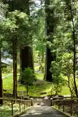 夏井諏訪神社の自然