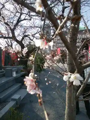 寛永寺不忍池弁天堂(東京都)