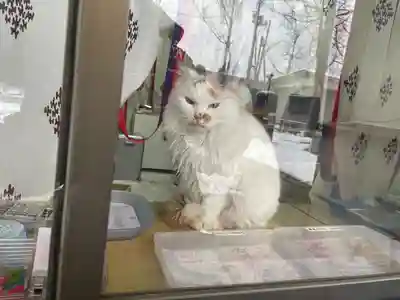 阿邪訶根神社(福島県)