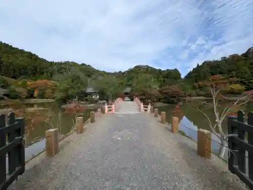 白水阿弥陀堂(福島県)