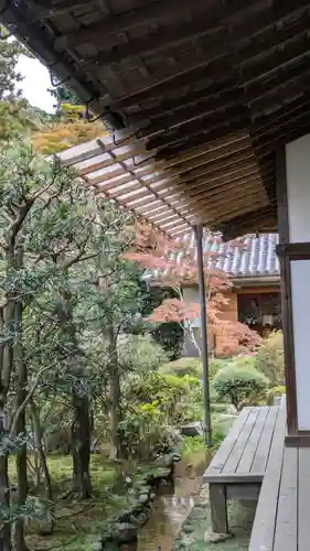 隨心院（随心院）(京都府)