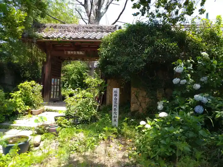 般若寺 ❁コスモス寺❁(奈良県)