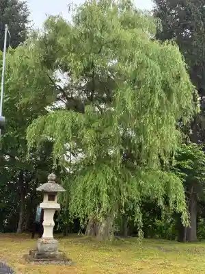 留辺蘂神社(北海道)