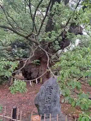 浜松八幡宮(静岡県)
