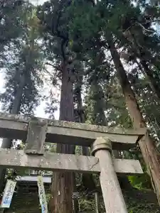 大宮温泉神社(栃木県)(2023年10月20日(金) 07時37分45秒投稿)