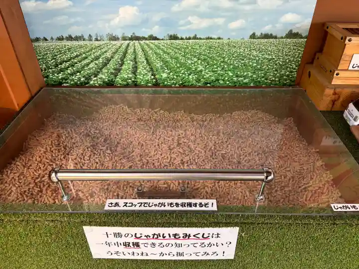 浦幌神社・乳神神社のおみくじ