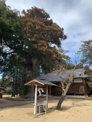 辛神社(千葉県)