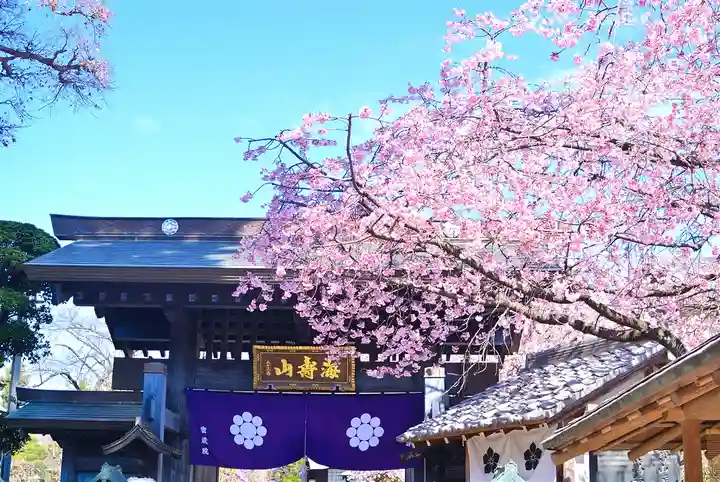 密藏院(埼玉県)