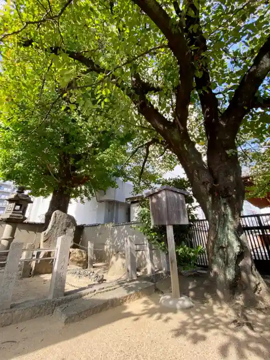西岸寺(京都府)