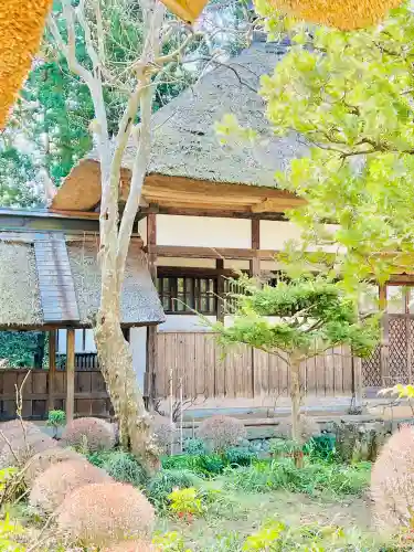 大雄寺の{uncategorized: "未分類", other: "その他", undefined: "問題あり", building: "その他建物", grave: "お墓", sacred_gate: "鳥居", guardian: "狛犬", statue: "像", buddha: "仏像", history: "歴史", nature: "自然", garden: "庭園", animal: "動物", pagoda: "塔", temizu: "手水舎", mountain_gate: "山門・神門", sanctuary: "本殿・本堂", subordinate: "末社・摂社", art: "芸術", scenery: "景色", jizo: "地蔵", ema: "絵馬", goshuin: "御朱印", omikuji: "おみくじ", items: "授与品その他", amulet: "お守り", goshuincho: "御朱印帳", eats: "食事", festival: "お祭り", votive_dance: "神楽", shichigosan: "七五三参", wedding: "結婚式", experience: "体験その他", initially: "初詣", around: "周辺", anti_infection: "感染症対策"}