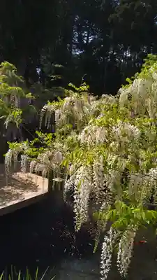 歌泉堂(春日大社神苑萬葉植物園内鎮座)(奈良県)