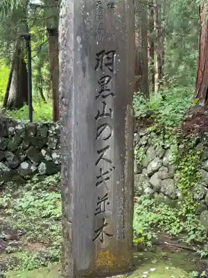羽黒山五重塔(出羽三山神社)(山形県)