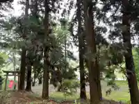 大宮温泉神社(栃木県)