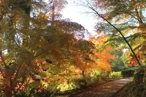 国宝 大法寺(長野県)