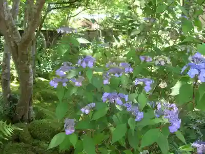 神峯山寺の自然
