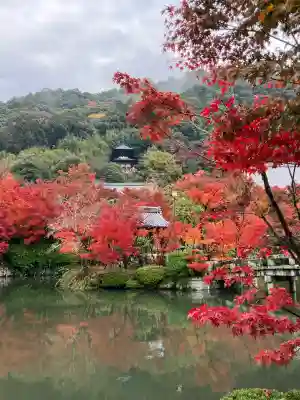 禅林寺（永観堂）(京都府)