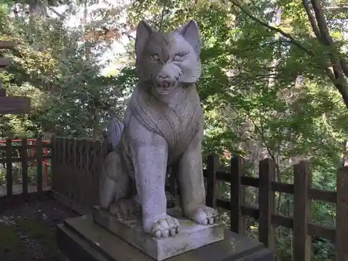 武蔵御嶽神社の狛犬