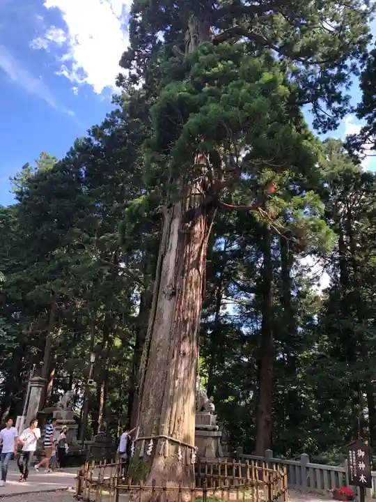 戸隠神社中社(長野県)
