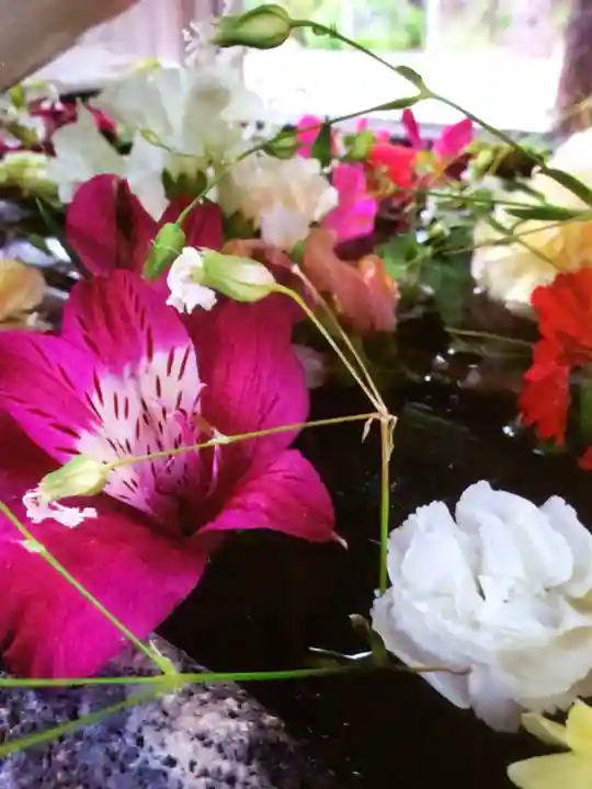 鳩森八幡神社(東京都)
