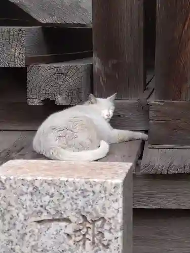 羽黒神社(岡山県)