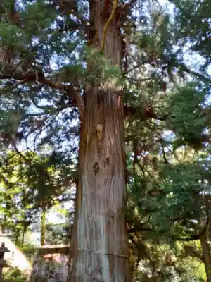 興田神社(岩手県)