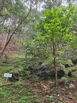 戸隠神社(岐阜県)