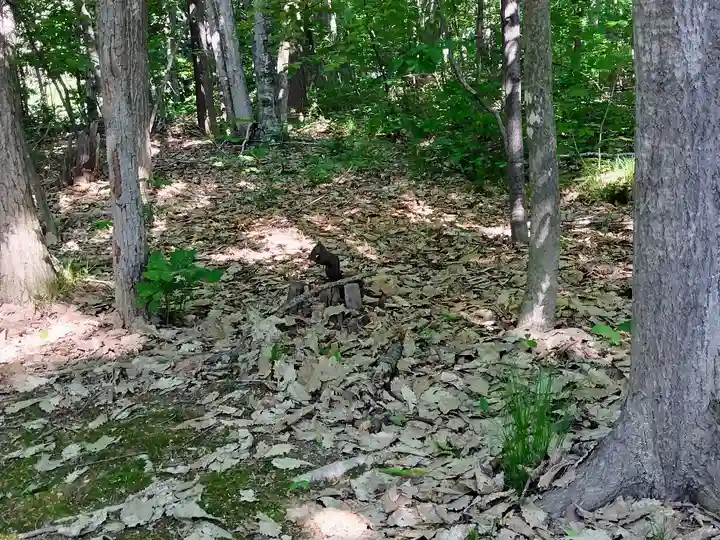 上川神社の動物